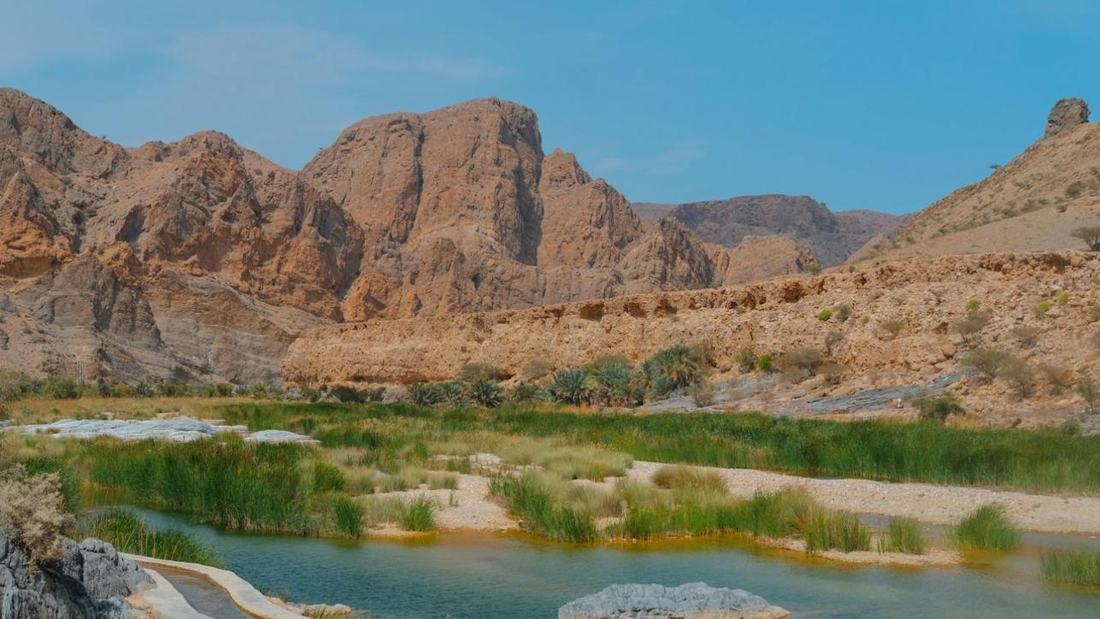 Wadi oasis