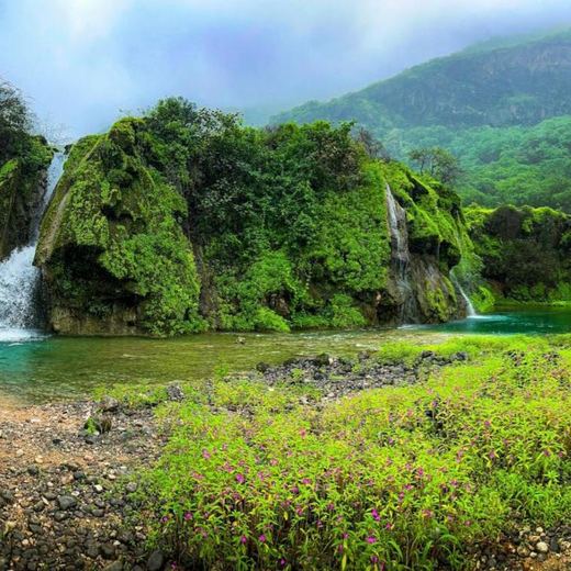 Salalah in the Khareef